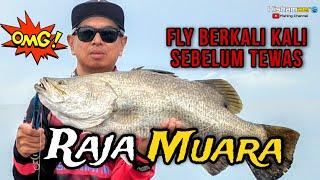  Raja Muara Tertewas  Percubaan LOLOS tidak Berjaya - MANCING SIAKAP