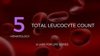 Total Leucocyte Count