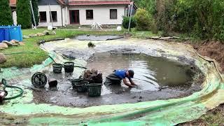 Schlammloch Deluxe 500 Goldfische und ein Teich voller Herausforderungen