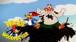 Covered In Oil  2 Full Episodes  Woody Woodpecker