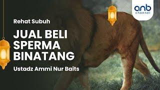 Jual Beli Sperma Binatang  Ustadz Ammi Nur Baits S.T. B.A. & Ustadz Muhammad Abu Rivai