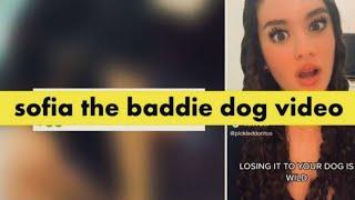 Watch sofiathebaddie twitter video  sofia the baddie dog video  sofiathebaddie reddit video