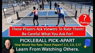 Pickleball Players Seek Your Opinion Of Their Play  How Do You Rate Them? Learn From Watching