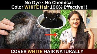 Natural Hairdye at Home Result for all  How to Color White Hair at Home Naturally