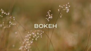 Beautiful bokeh on your camera  Settings for beginners