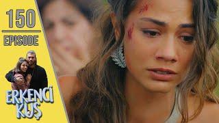 Early Bird - Episode 150 English Subtitles  Erkenci Kus