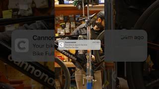 Maintenance reminders in the Cannondale app. Download it today