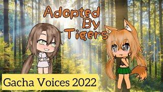 Adobted by Tigers  Gacha Life Meme with Voices