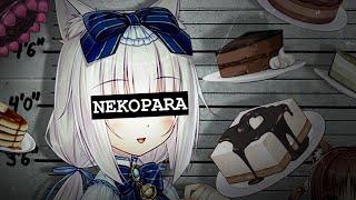 Beating The Nekopara Allegations