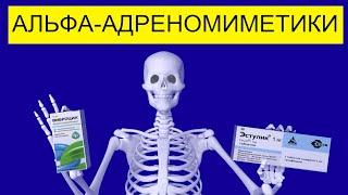 Альфа-Адреномиметики  Адренорецепторы  Medanatfarm