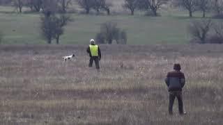 1002 127 АС Арго Дупляков В.А - АП Нюша Садовников В.М.