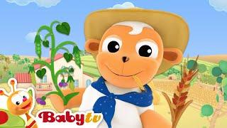 Oats & Peas ‍​​  Nursery Rhymes & Songs for Kids ​   @BabyTV