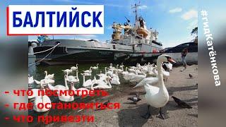 Балтийск - западные морские ворота России что посмотреть где остановиться что привезти 2022