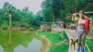 Time-lapse video Building a wooden cabin - off grid living homesteading and farming