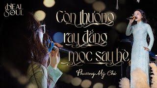 Phương Mỹ Chi live ngọt ngào Còn Thương Rau Đắng Mọc Sau Hè tại #healthesoulshow