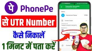 phonepe utr number check  phonepe me utr number kaise nikale  phonepe se utr number kaise nikale