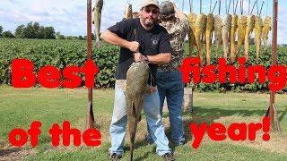 The best way to catch catfish - Trotliners