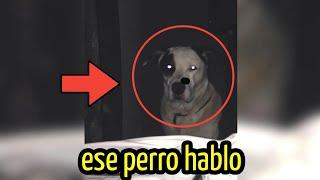 La Escalofriante Historia del Perro que Habló y Pidió una Hamburguesa