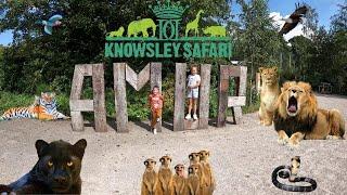 Knowsley Safari Park - Full safari Tour