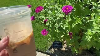 Vlog- Summer Flowers Pumpkin Picking & Tic Tac Toe