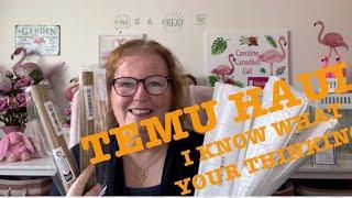 TEMU Haul and its NOT what your thinking - 454