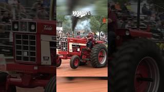E L Harlow & the Harlow Harvester #international #ih1066 #redpower #tractor #tractors #tractorlife