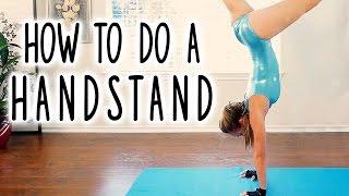 How to Do a Handstand Beginners Workout- Hand Stand Flexibility Gymnastics Follow Along at Home