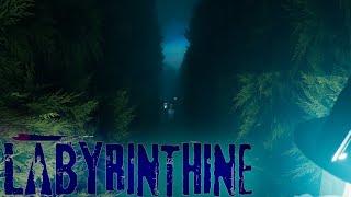 Labyrinthine GAMEPLAY w Friends   indie games 2020 labyrinthine co-op