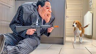 Funny Puppies  Get Pranked with Scary Villain Halloween Costumes