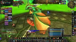 Sunken Temple Raid - Dreamscythe and Weaver Ele Shammy POV - WoW SoD