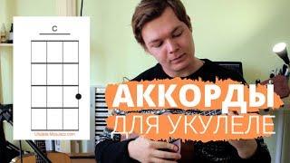 Самые популярные аккорды для укулеле  УРОКИ УКУЛЕЛЕ 