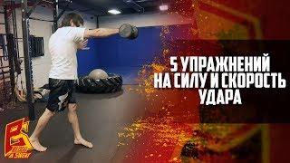 5 exercices for power and speed punches