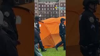 NY police arrest over 100 Columbia University students protesting Israel’s war on Gaza