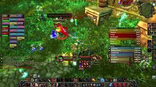 WoW Classic fury warrior pve tanking Zul Gurub Bloodlord Mandokir kill