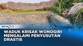 Musim Kemarau Waduk di Jawa Tengah Mengalami Penyusutan Air