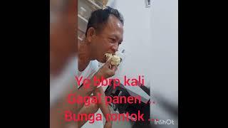 Hakka Fam  durian si Montok