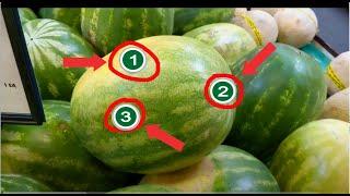 How to pick a sweet and juicy watermelon  3 things to look for  How to cut watermelon into cubes