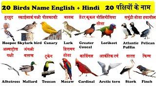 20 birds name in english and hindi for kids  पक्षियों के नाम हिन्दी और अंग्रेजी में भाग 4 