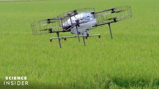 How Japan Is Reshaping Its Agriculture By Harnessing Smart-Farming Technology