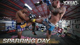 Muay Thai Sparring  Liam Harrison Vs Superlek  YOKKAO Training Center