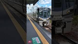 The teeny tiny local station and teeny tiny train here in #Japan. Also the local wildlife #turtle 