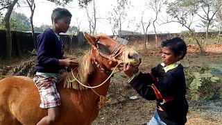 HORSE BOYS OF RURAL INDIA - Exploring the Unexplored