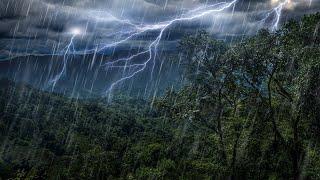Rain Forest Thunder & Rain Sleep Sounds  White Noise 10 Hours