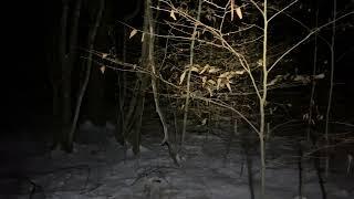 SASQUATCH WIZARD ADIRONDACKS - RSA-2 “ Night Walk to Set Overnight Recorder “ Part 1