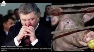 Порошенко мудак Донбасс рулит