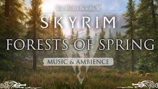 The Forests of Spring  Peaceful Spring Skyrim Music & Ambience  3 Hours