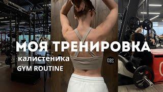 МОЯ ТРЕНИРОВКА  программа тренировки в зале   GYM ROUTINE