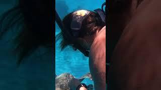 Freeing a Turtle from Old Fishing Line  #shorts