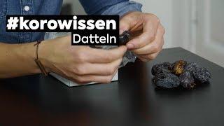 #korowissen  Datteln