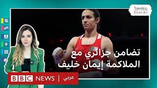 إيمان خليف.. هجوم على الملاكمة الجزائرية بسبب شكوك حول نوعها الجندري